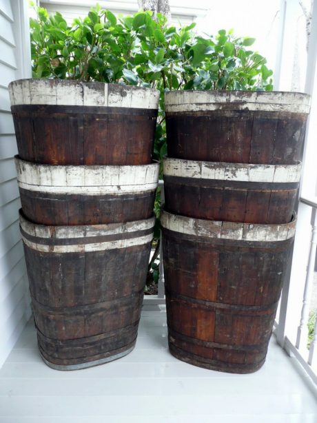 Champagne grape harvesting Bottiche (barrel) c.1920