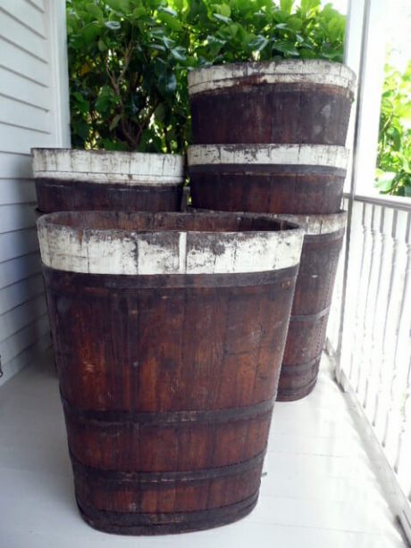 Champagne grape harvesting Bottiche (barrel) c.1920