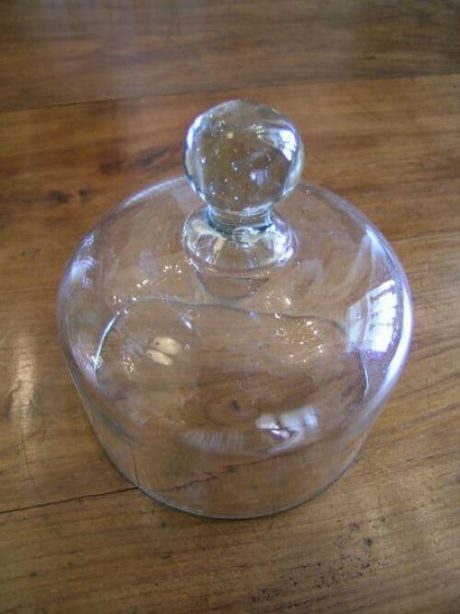 Vintage glass cloche