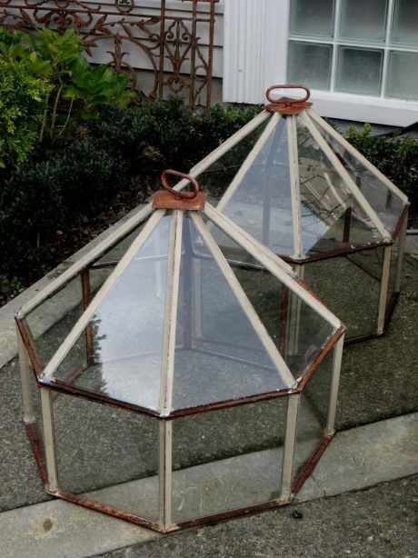 Pair of Antique English Garden Cloches c.1840