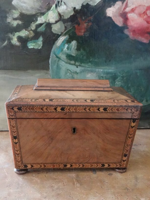 George Iv Parquetry Banded Walnut Tea Caddy C.1830 – European Antiques