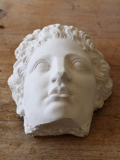 A vintage plaster head model for display