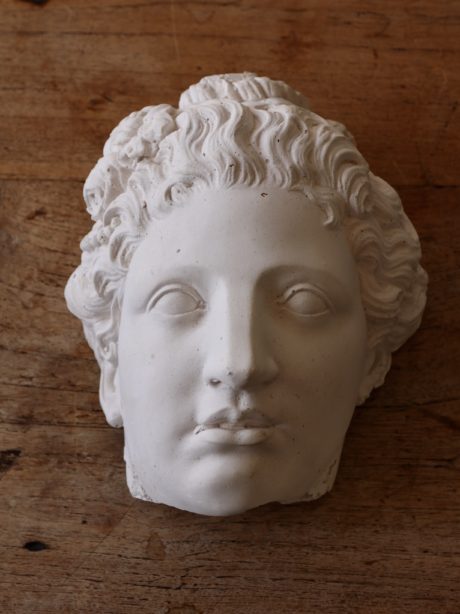 A vintage plaster head model for display