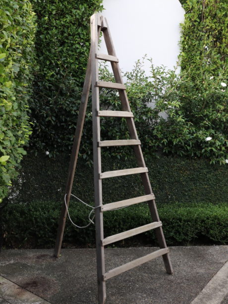 Antique French Fruit picking ladder