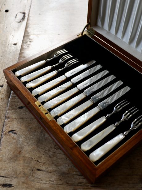 Art Deco Mother of Pearl Fruit knife and fork set